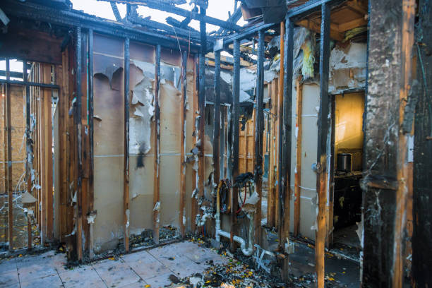 Professional Fire Damage Removal technician working in Mount Hope, WV